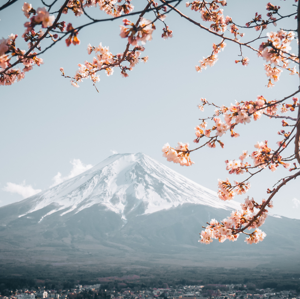 PAKET WISATA THE BEAUTY OF JAPAN