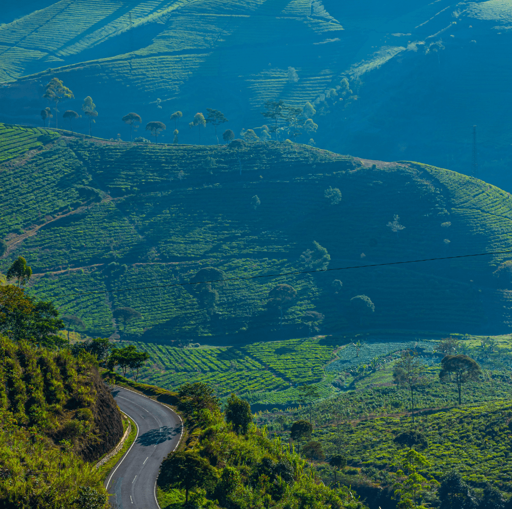 PAKET FAMILY GATHERING PANGALENGAN BANDUNG