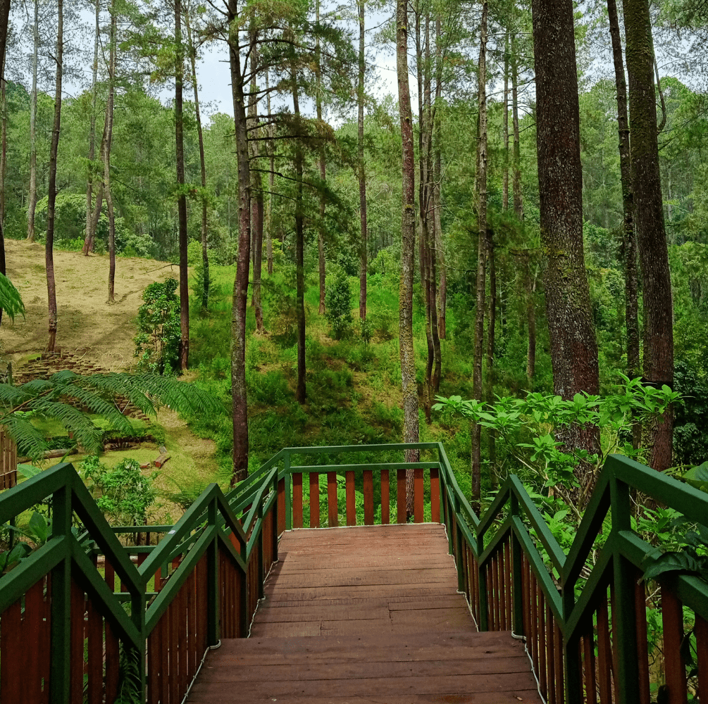 PAKET GATHERING CIKOLE BANDUNG