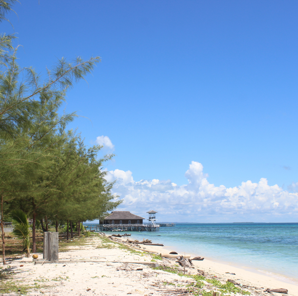 PAKET WISATA KEPULAUAN DERAWAN