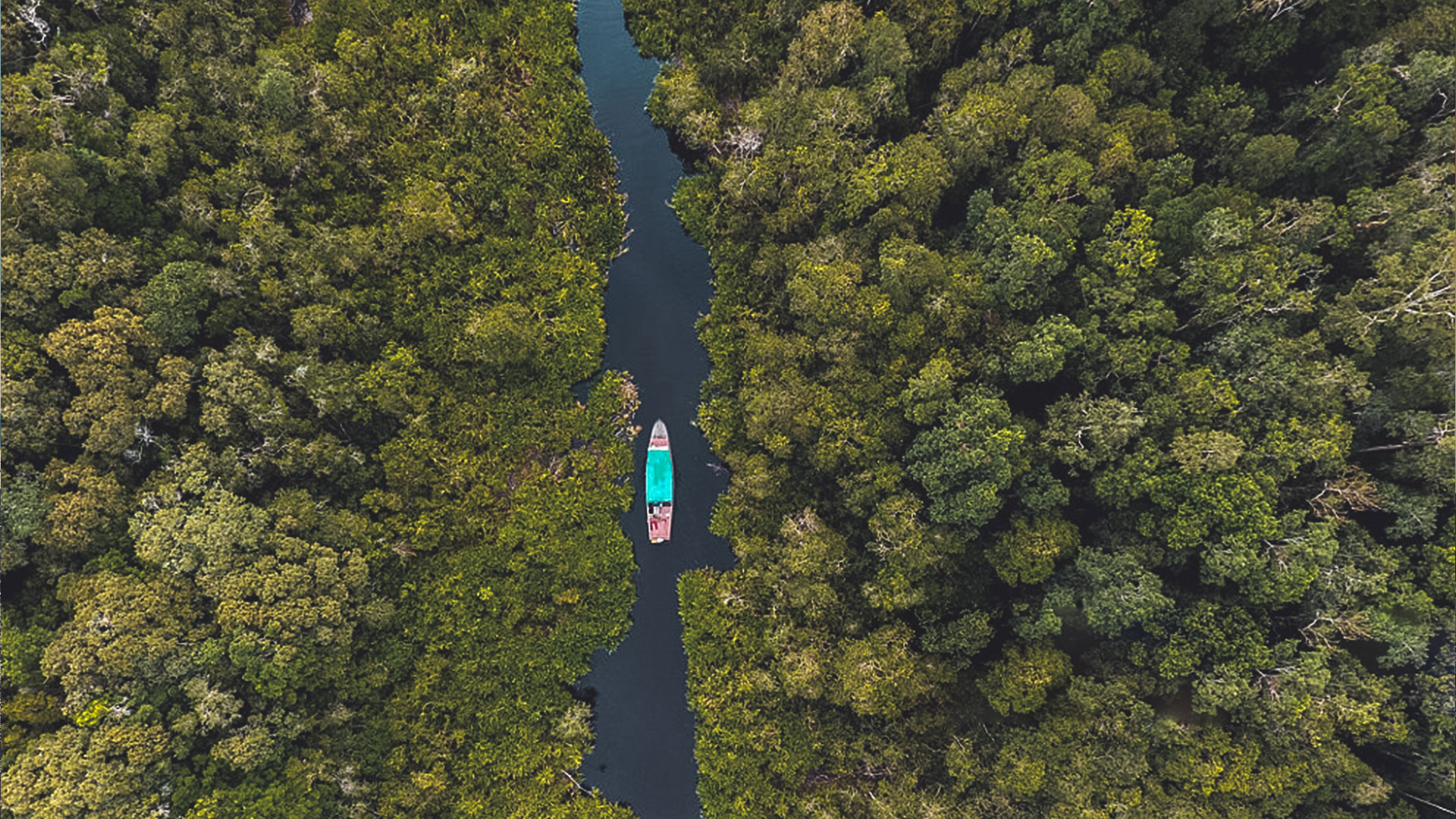 PAKET WISATA ALAM TANJUNG PUTING