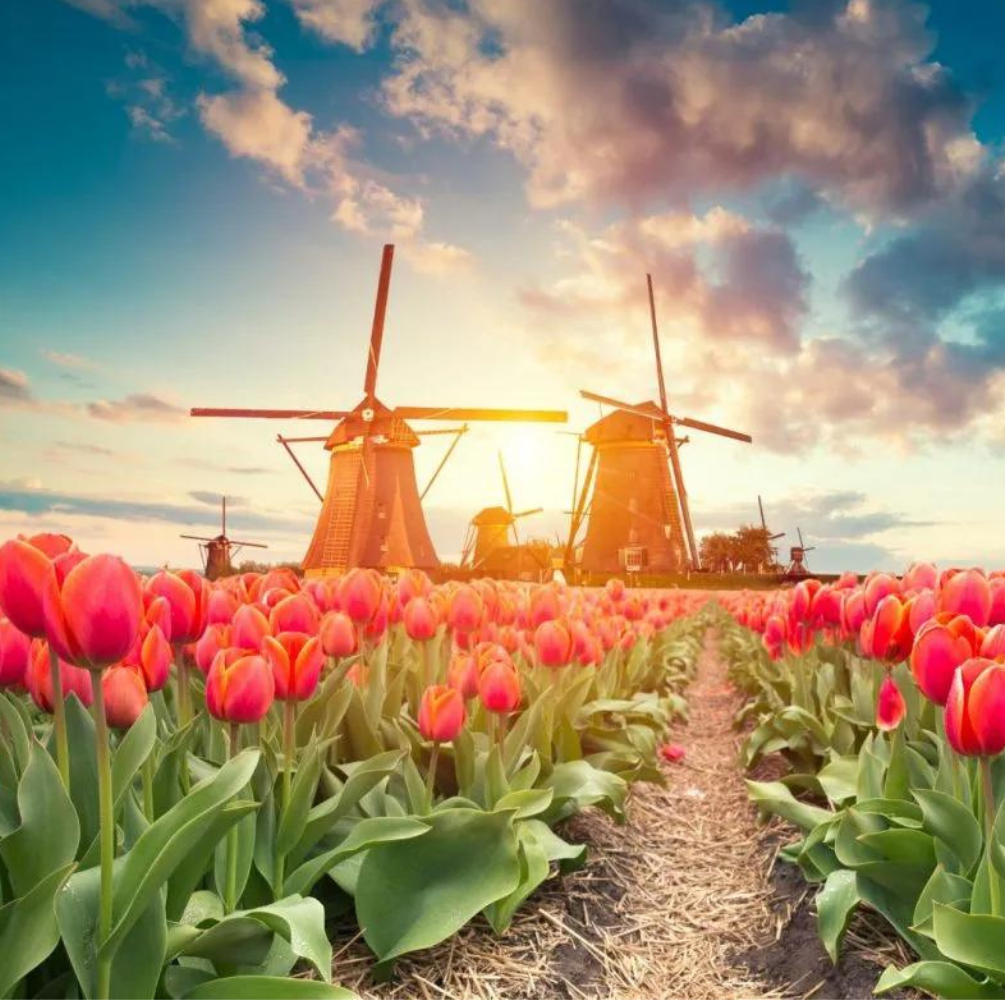 PAKET WISATA  AMAZING WEST EUROPE