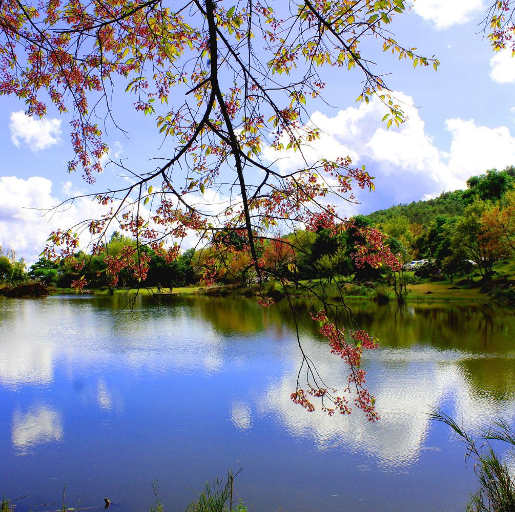 PAKET WISATA TOUR 2 NEGARA 6D (MALAYSIA – THAILAND)