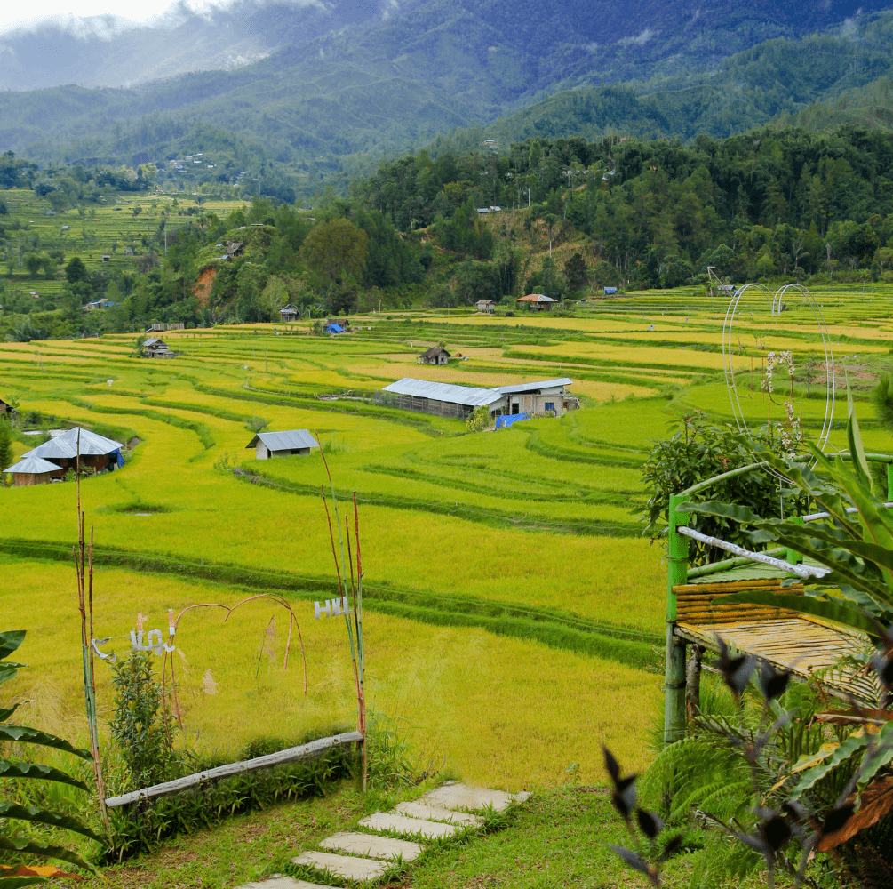 PAKET WISATA MAMUJU SULAWESI BARAT