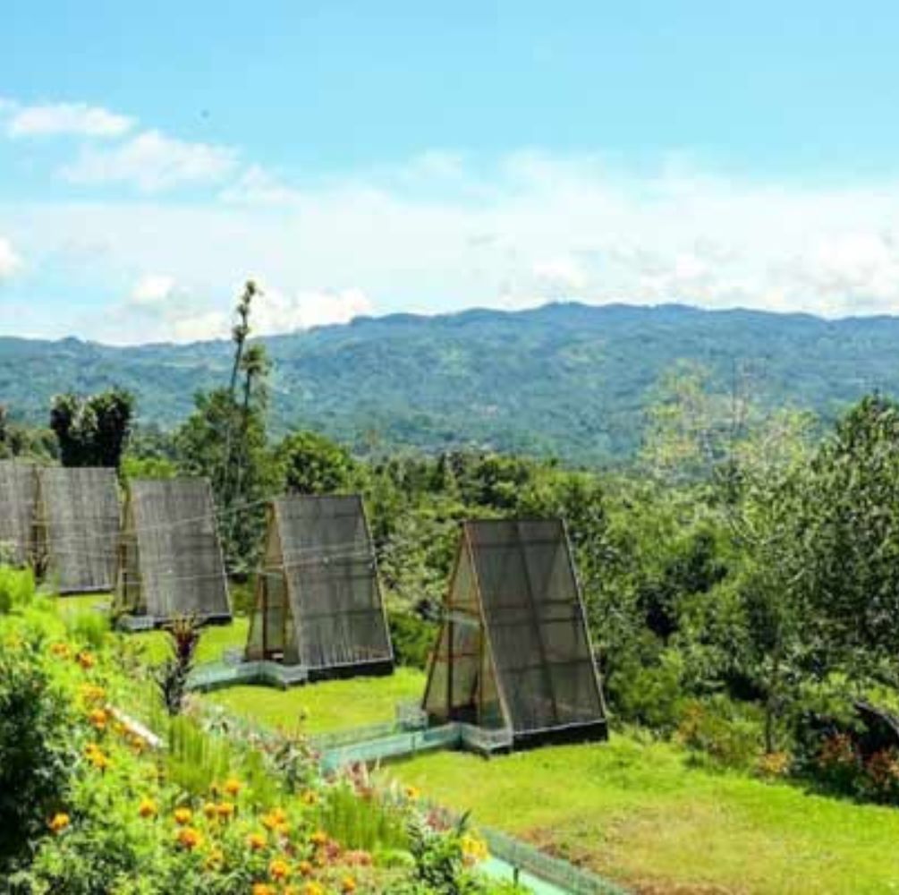 PAKET WISATA PRIVATE TRIP TASIKMALAYA DAN GARUT