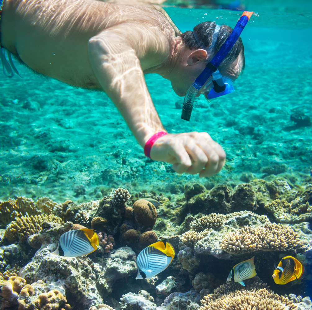 PAKET WISATA BITUNG DAN BUNAKEN SULAWESI UTARA