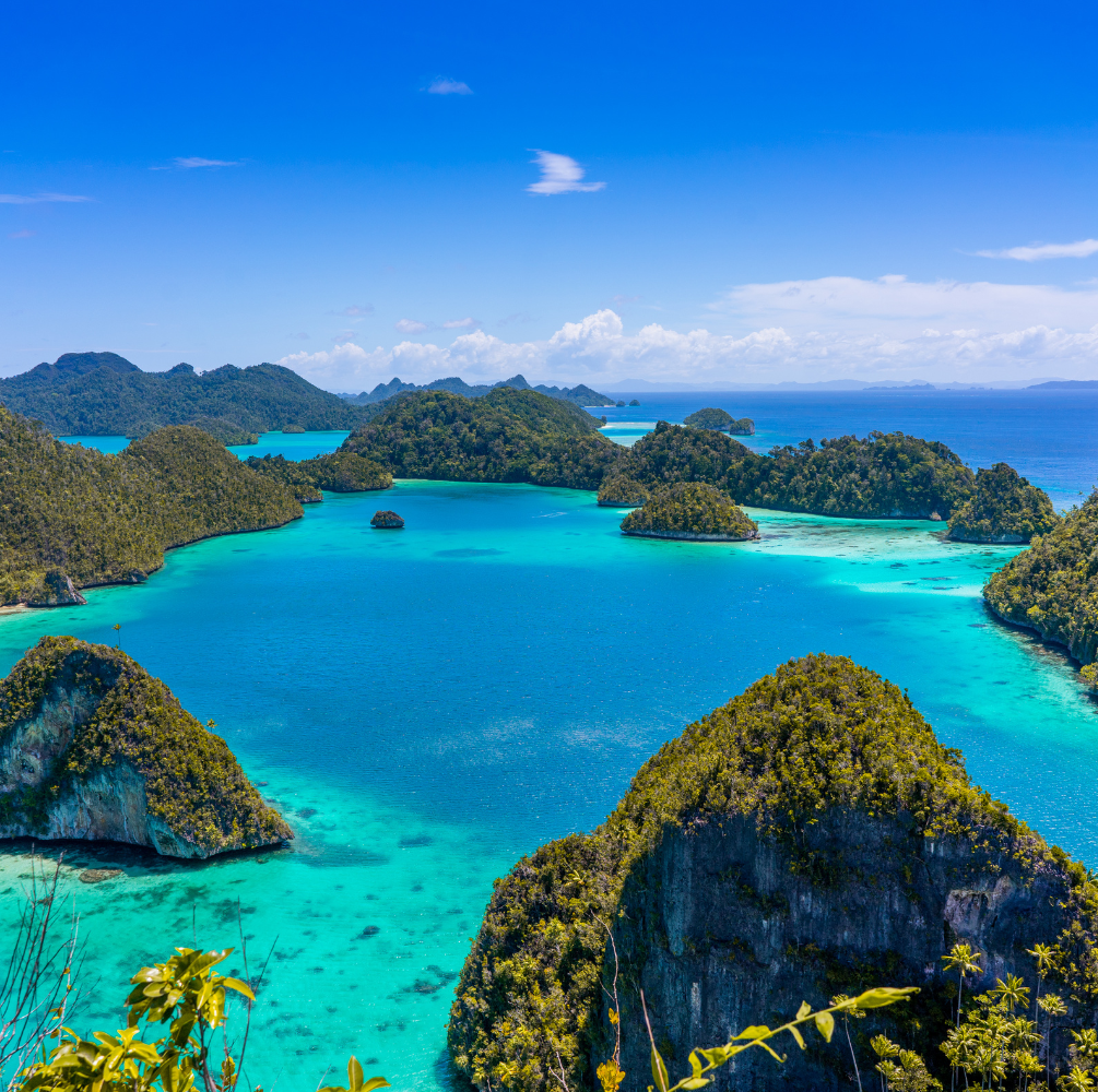 PAKET WISATA RAJA AMPAT WAYANG