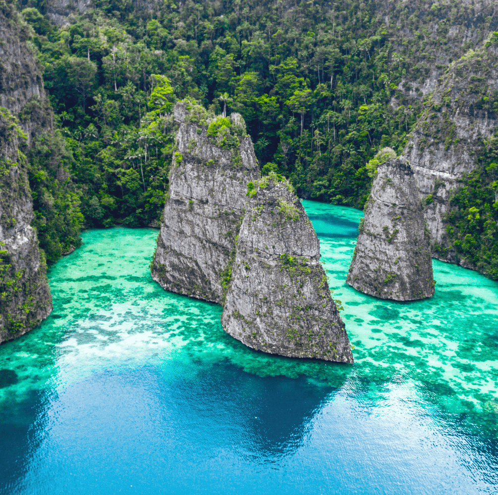 PAKET WISATA KEPULAUAN RAJA AMPAT