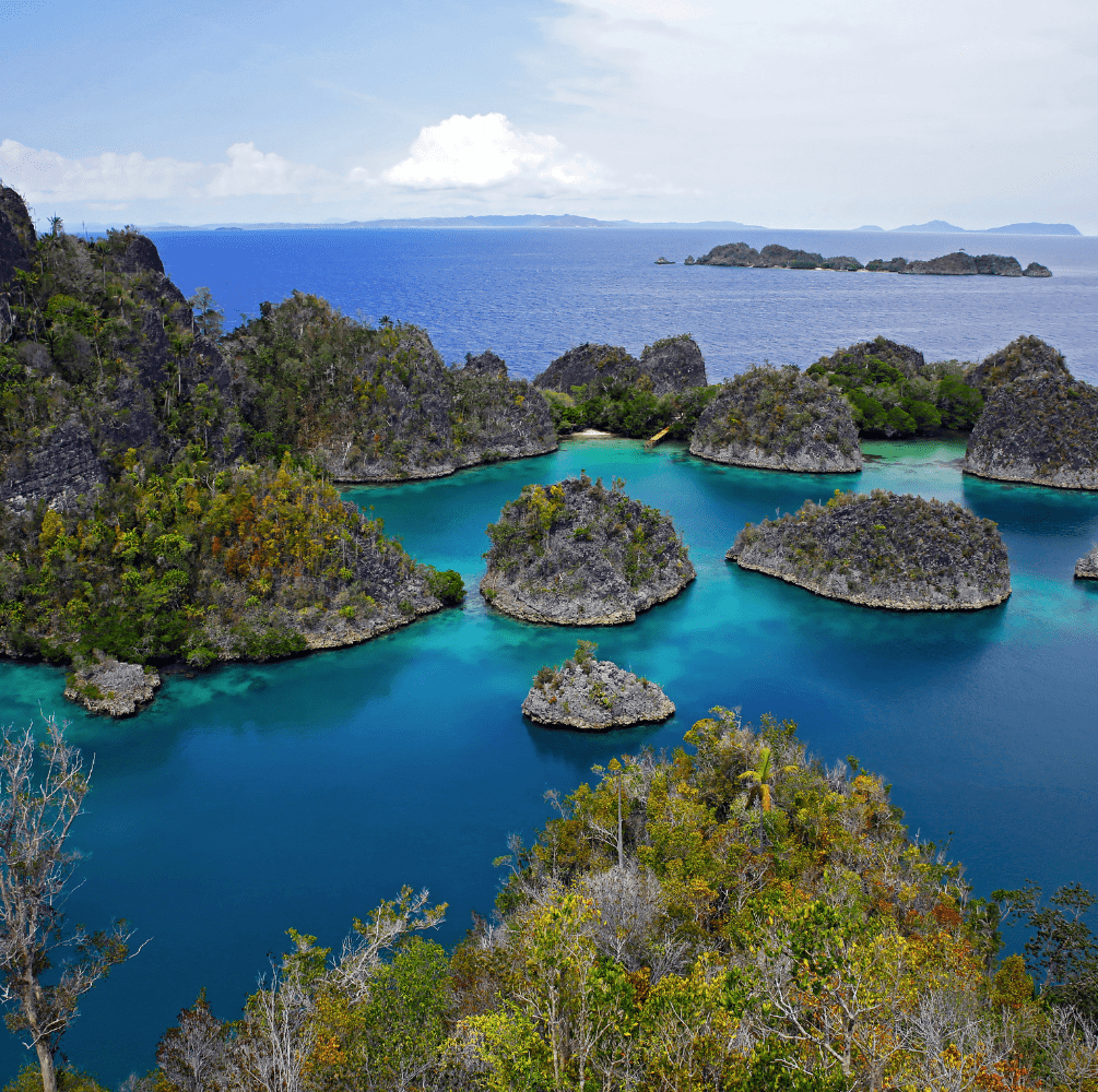 PAKET WISATA EXPLORE KEPULAUAN RAJA AMPAT
