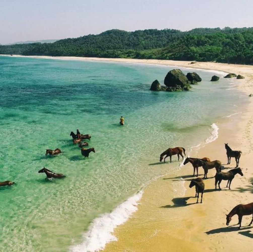 PAKET WISATA PRIVATE TRIP SUMBA