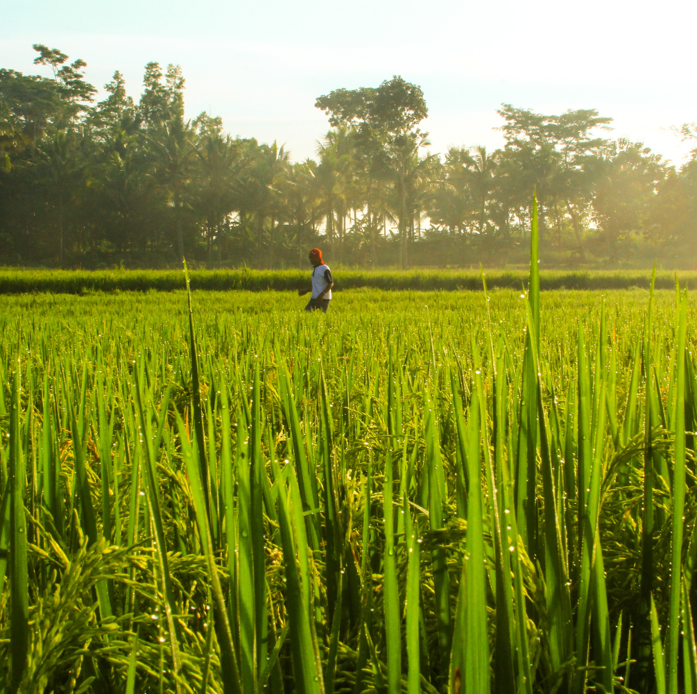 PAKET WISATA SEJARAH KOTA BLITAR