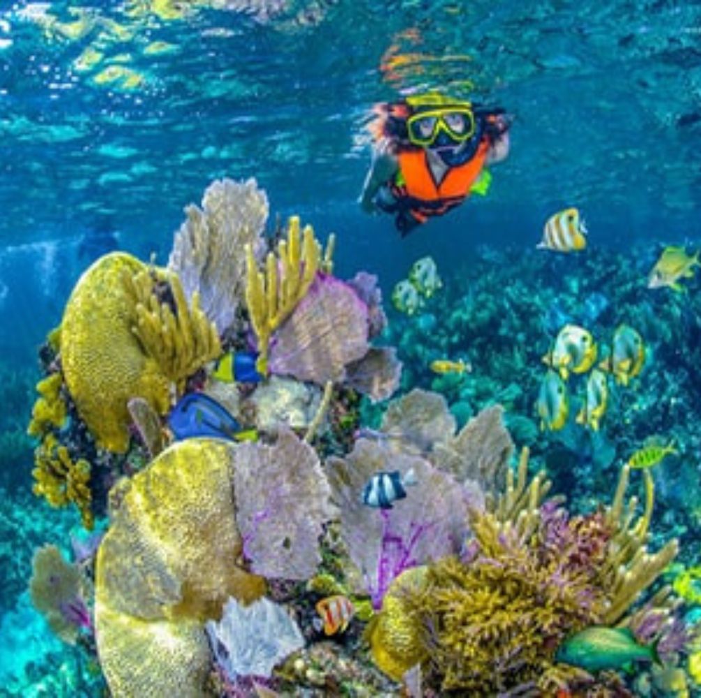 PAKET WISATA PULAU PUTRI