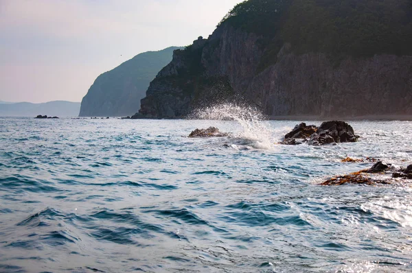 PAKET BACKPACKER EXPLORE 5 NEGARA