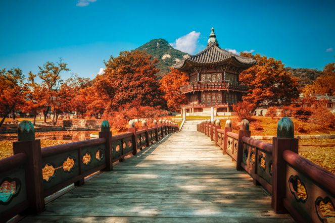 PAKET WISATA BACKPACKER KOREAN AUTUMN SEOUL + NAMI + JEJU