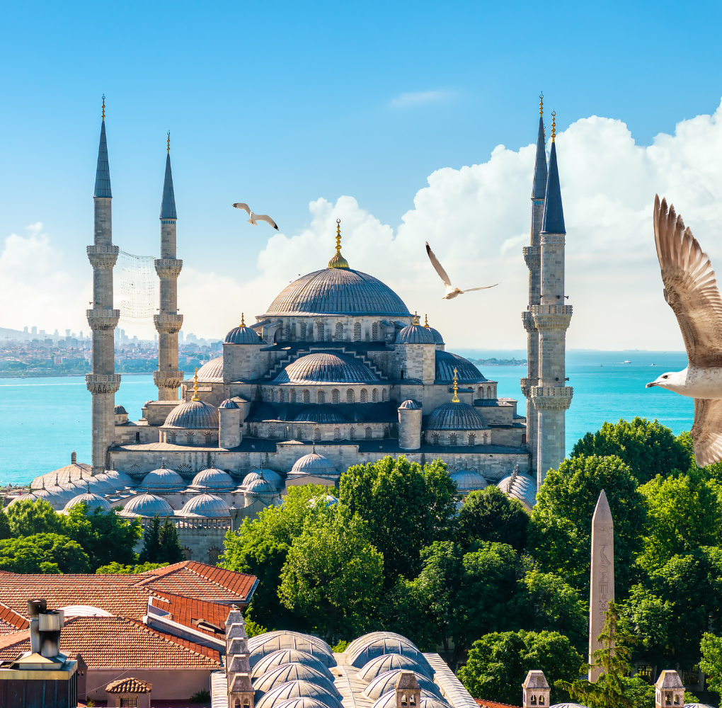 TURKI ONLY AUTUMN SEASON