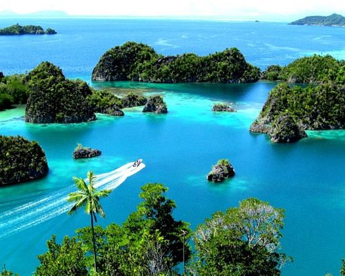 PAKET WONDERFULL RAJA AMPAT WAYAG