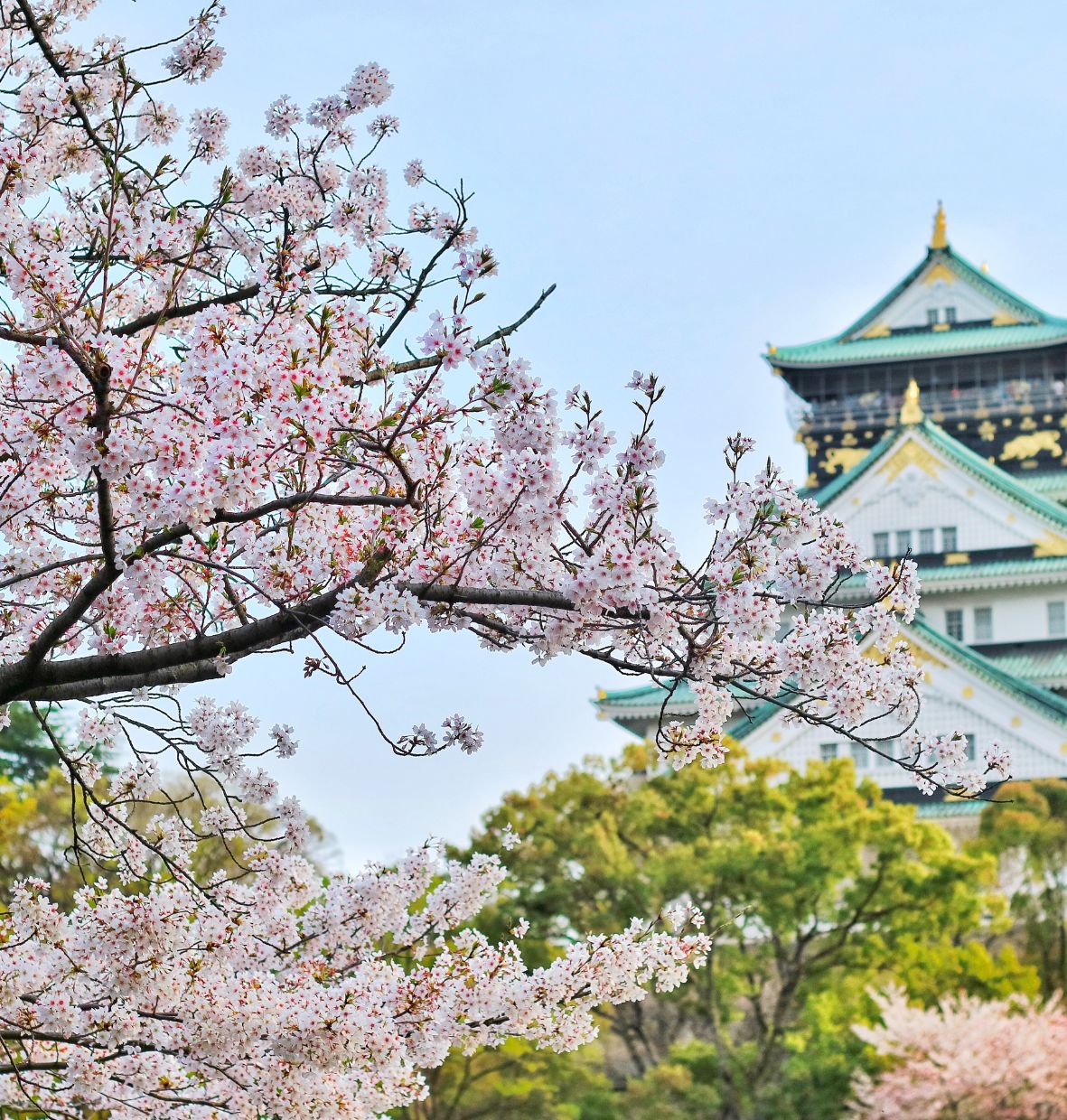 PAKET WISATA TOUR JEPANG GOLDEN ROUTE