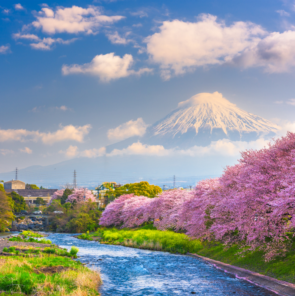 PAKET WISATA JEPANG TOKYO-MT FUJI-KYOTO 7D6N