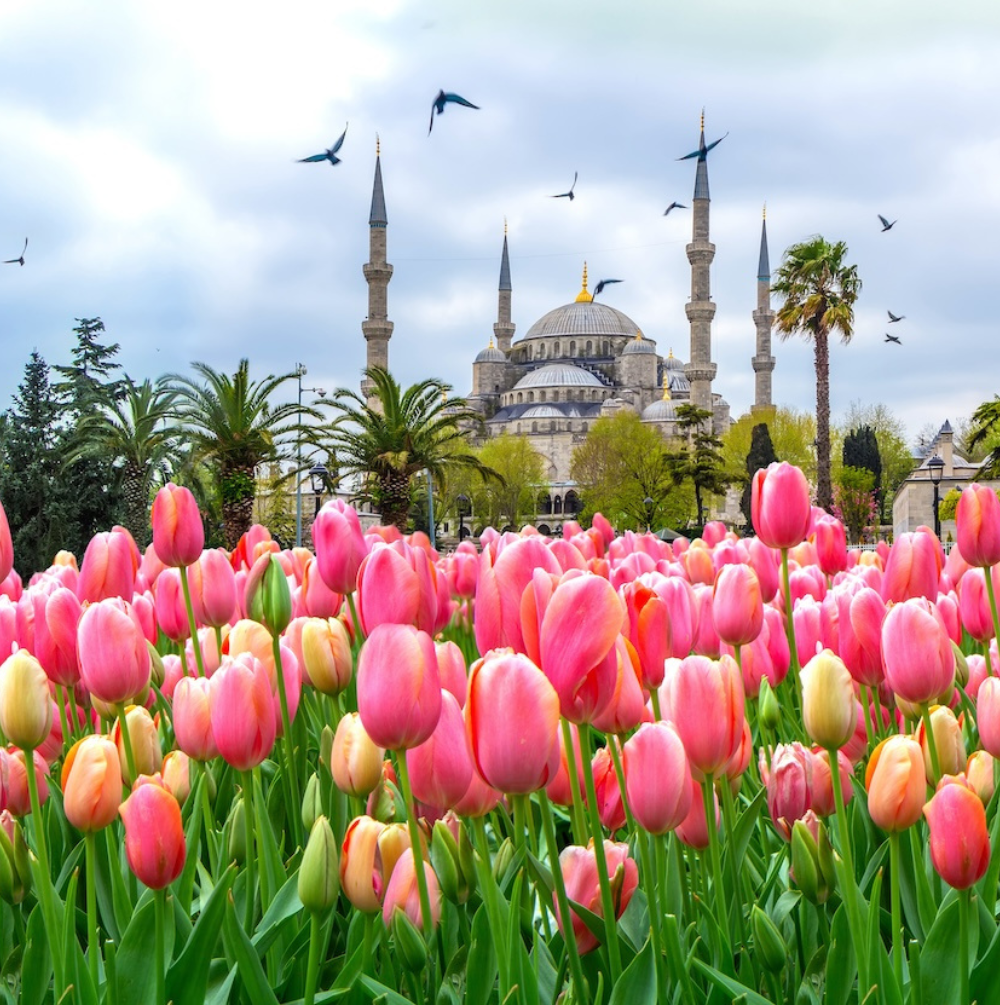 TURKIYE TULIP FESTIVAL 10D7N