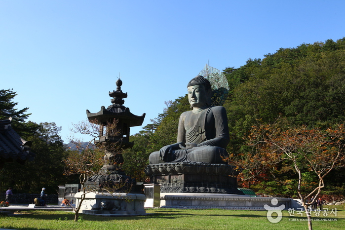 LA KOREA 7D6N SPECIAL NAMI ISLAND-MT.SEORAK-JEJU ISLAND
