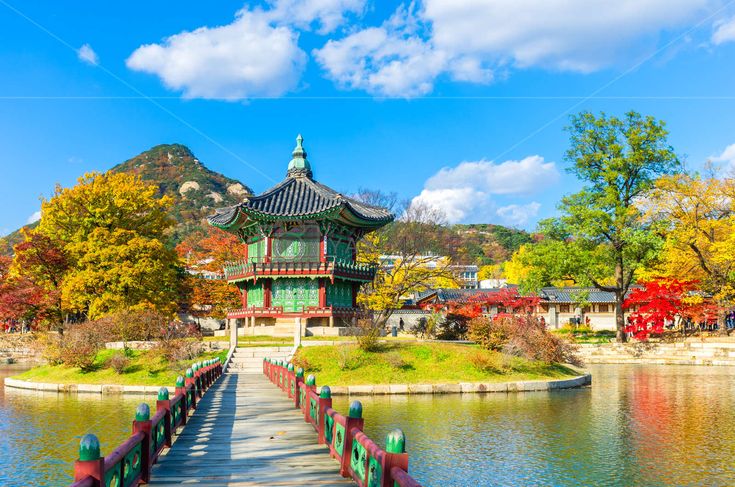 CHINA HALAL TRIP (KUNMING - LIJIANG - SHILIN)