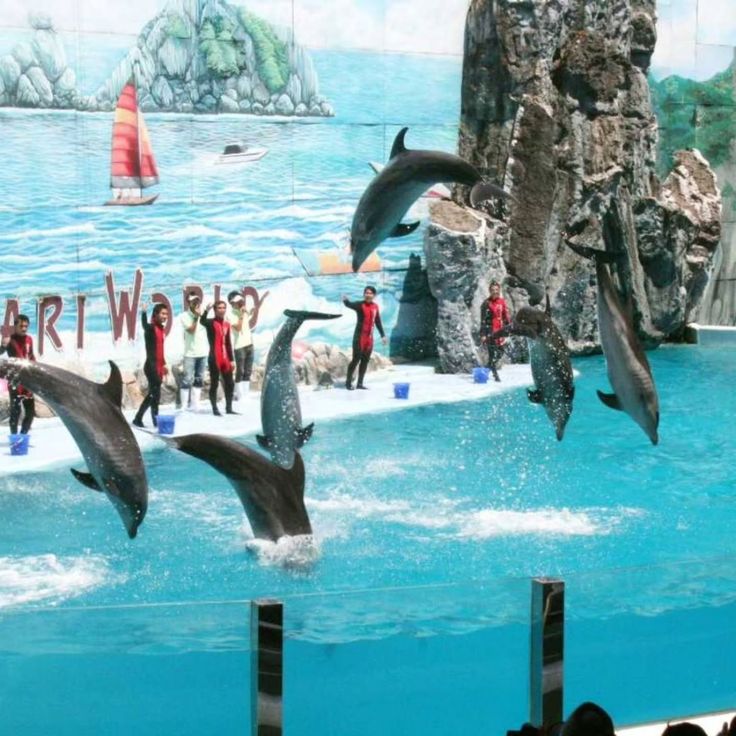 BANGKOK - MARINE PARK