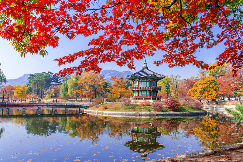 KOREA AUTUMN SPECIAL NAMI ISLAND + JEJU ISLAND